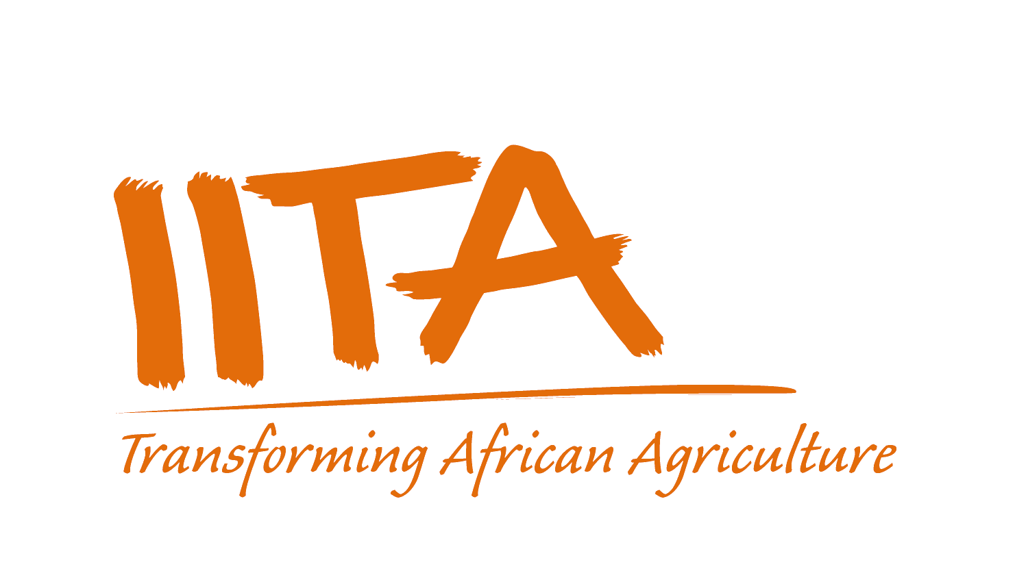 Institut International pour l’Agriculture Tropicale – IITA